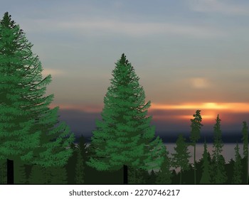illustration with high green trees in forest at sunset