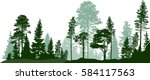 illustration with high pines in fir trees forest isolated on white background