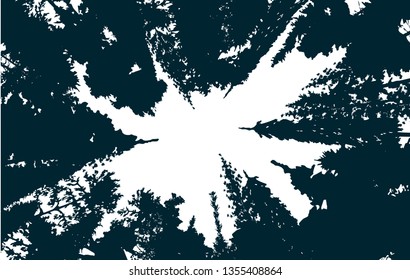 illustration with high pines in fir trees forest isolated on white background