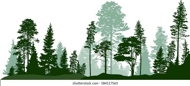 树 矢量 Images Stock Photos Vectors Shutterstock