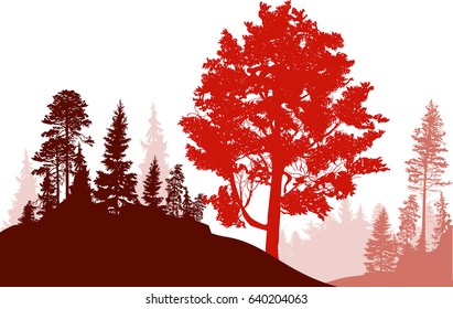 illustration with high red tree in forest isolated on white background