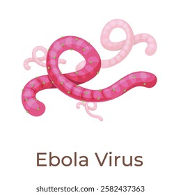 Illustration highlighting the complex structure of the human Ebola virus, its characteristic shape and features needed for research.