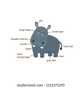 Illustration of hippo vocabulary part of body.vector