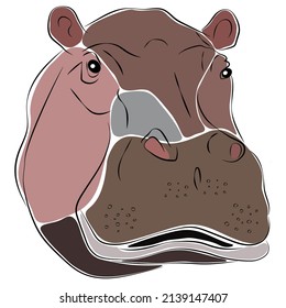 Illustration of hippopotamus. Hippos are aggressive and are considered very dangerous.