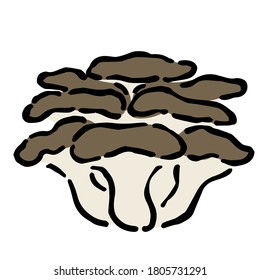 Illustration of Hiratake mushroom: Illustration like hand drawn illustration with ink and brush
