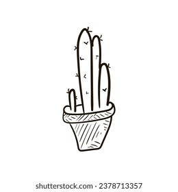 Ilustración de un cactus casero, en una olla con hojas puntiagudas, boceto