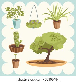 Illustration of Home Plants