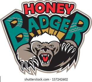 Illustration of a honey badger (Mellivora capensis) mascot also known as ratel head facing front attacking with claws and paw and text on isolated white background.