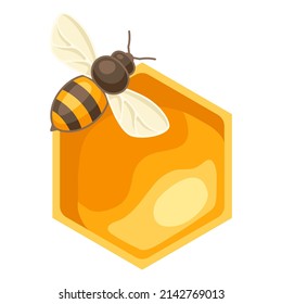 Illustration of honey with bee. Image for food and agricultural industry.