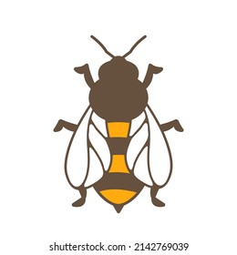 Illustration of honey bee. Image for food and agricultural industry.