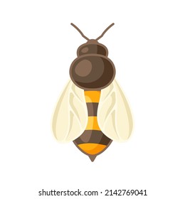 Illustration of honey bee. Image for food and agricultural industry.