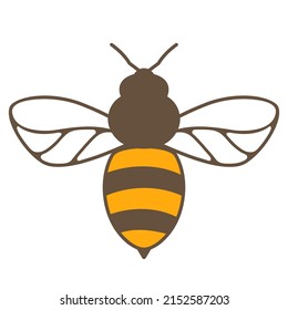 Illustration of honey bee. Image for food and agricultural industry.