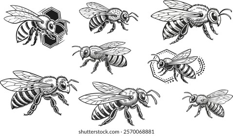 illustration, honey, bee, insect, icon, hive, nature, bumblebee, vector, beehive, design, honeycomb, honey bee, cartoon, symbol, apiary, wildlife, pollen, wing, background, bug, fly, flower, wasp 