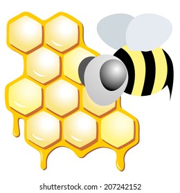 Illustration of a honeycomb with a bee 