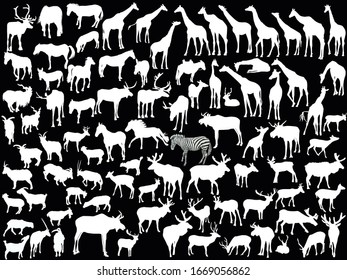 illustration with hoofed mammals collection isolated on black background