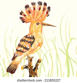 Illustration of hoopoe bird sitting on a branch