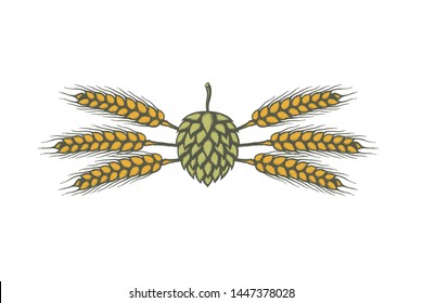 illustration of hop and barley for brewing isolated on white background