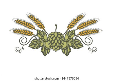 illustration of hop and barley for brewing isolated on white background