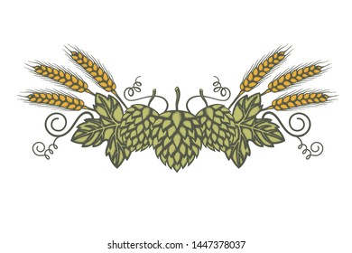 illustration of hop and barley for brewing isolated on white background