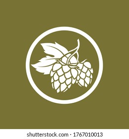 illustration of hop for brewing isolated on green background