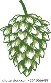 Illustration of hop cone or green pine cone with natural details, without background