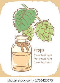 Ilustración de lúpulo y botella de aromaterapia. Ilustración vectorial.