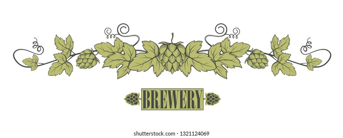 illustration of hops branch with leaves for brewing