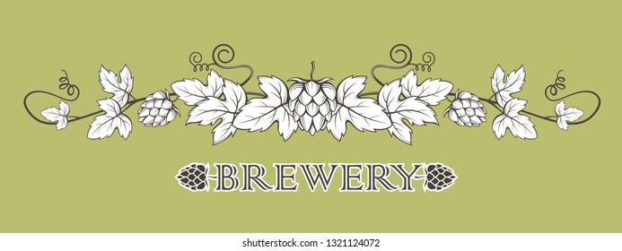 illustration of hops branch with leaves for brewing