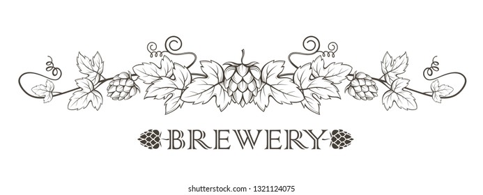 illustration of hops branch with leaves for brewing