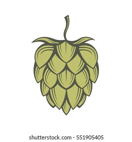 illustration of hops for brewing