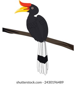 illustration of a hornbill perched on a tree branch