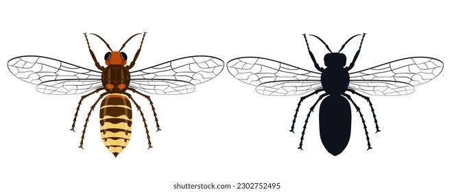 Illustration of a Hornet in a flat style. Wasp isolated on white. Emblem of a bee, hornet, pest, sting Vector color illustrator and silhouette isolated on a white background.