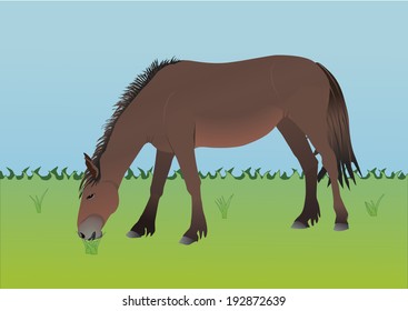 An illustration of a horse