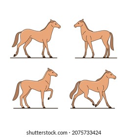 Illustration of horse. Animal in various poses. Contour vector detail illustration for emblem, badge, insignia, postcard.