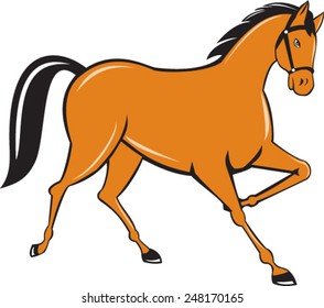 Illustration of horse cantering trotting viewed from the side set on isolated white background done in cartoon style. 