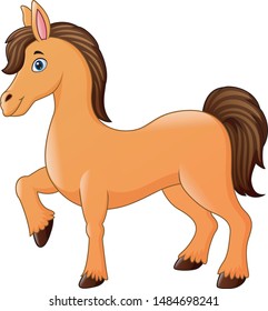 Illustration of Horse cartoon on white background