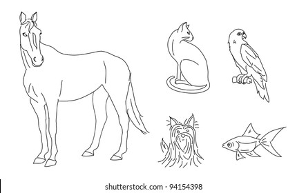 Illustration of horse, cat, dog, parrot and fish