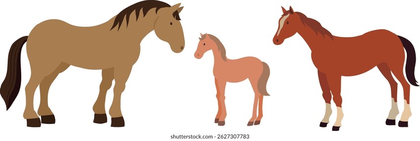 Illustration of horse family. Domestic animals