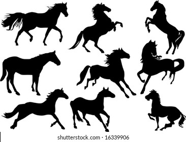 illustration with horse silhouettes collection isolated on white background