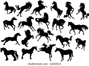 illustration with horse silhouettes collection isolated on white background