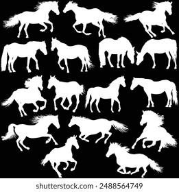 illustration with horse silhouettes collection isolated on black background