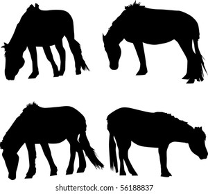 illustration with horse silhouettes collection isolated on white background