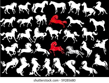 illustration with horse silhouettes collection isolated on white background