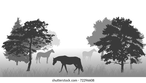 Illustration mit Pferden im Wald