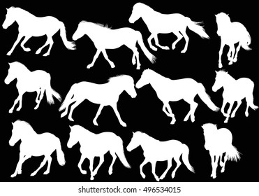 illustration with horses isolated on black background