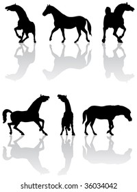 Illustration of horses silhouettes