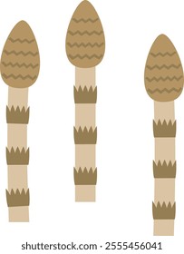 Illustration of horsetail, a plant commonly seen in spring