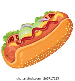 illustration.  hotdog on white background