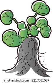 Illustration of Hotei grass (aquatic plants)