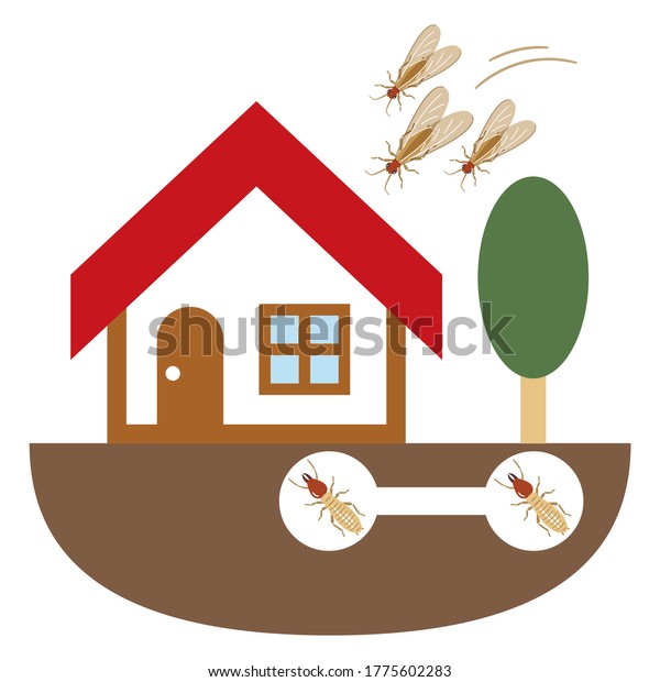 Illustration of a house\
invaded by\
termites